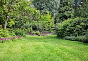 Optimiser l'expérience du jardin à Saint-Andre-en-Bresse